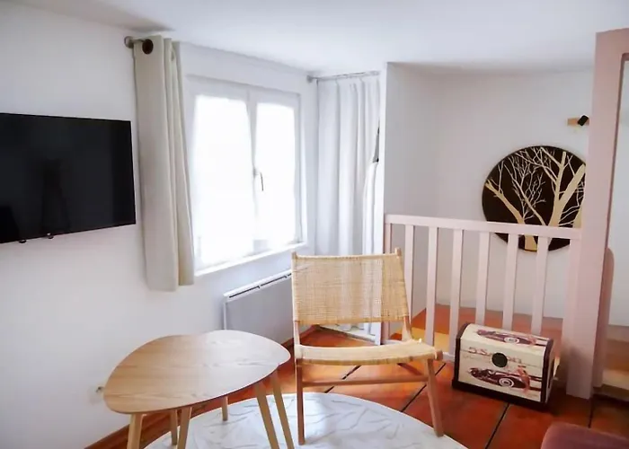 Le Lilly Rose - Mini Duplex Dans Le Coeur Historique